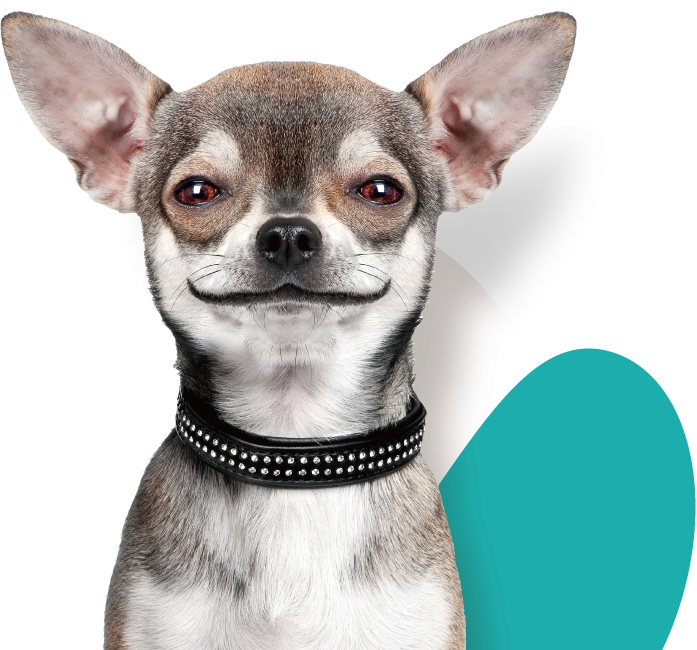 Dognomics Kit