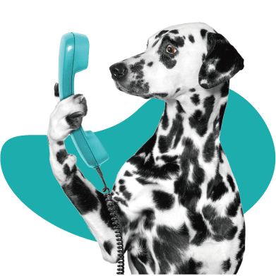 Dognimics Kit